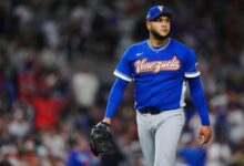 . Déjalo vacío si la imagen es puramente decorativa.