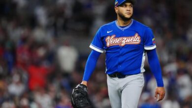 . Déjalo vacío si la imagen es puramente decorativa.