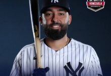Alí Sánchez está con Yanquis de Nueva York